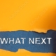EHDS-whatnext