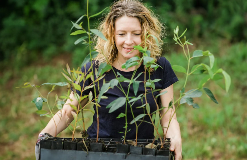Boom planten